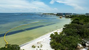 Veterans Park Shoreline Restoration