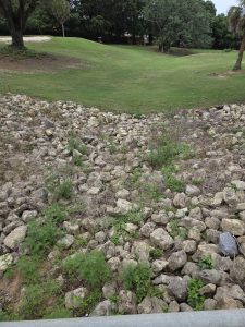 Osceola Golf Course